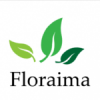 Rośliny do terrarium/vivarium: Storczyki, Bromelie, Neoregelia, Ficus, Marcgravia, Tillandsia, Vriesea i inne - last post by floraima