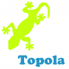 Czy ta roślina się nadaje - gekon orzęsiony - ostatni post przez Topola