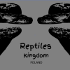 Pyton siatkowy - last post by ReptilesKingdom