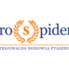 ProSpiders - WARSZAWA, AKTUALIZACJA 26.06.2019 - ostatni post przez SARNAC