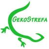 gekony/eublefary gruboogonowe (Hemitheconyx caudicinctus) - ostatni post przez Venom