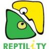 gady, płazy, ssaki ...rz. australijska, skoczki egipskie **REPTILiTY** - last post by REPTILiTY