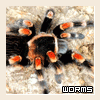 Przykrywanie Terra - ostatni post przez Worms