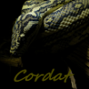 Cordat's Photo