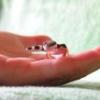 Phelsuma madagascariensis guzy za glową - ostatni post przez Midia96
