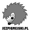 Karmy dla jeża / zalecenia dietetyczne - last post by jezpigmejski