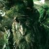 Oferta SpidersPassion dużo maluchów Wysyłki Zapraszam ! - ostatni post przez Treebeard