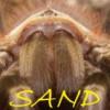 Nhandu chromatus samiec - ostatni post przez Sand