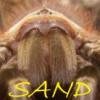 Karaczany argentyńskie Blaptica dubia 200 szt - ostatni post przez Sand