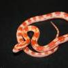 Sprzedam Kabel grzewczy 15w terrazone - last post by AdamReptiles