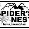 monocentropus balfouri 2 samce 1 samica - ostatni post przez Hana