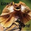 Pająki na części do e-papierosów - ostatni post przez PrzemoReptiles