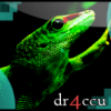 Shoutbox - czat na forum - ostatni post przez Dr4ccu
